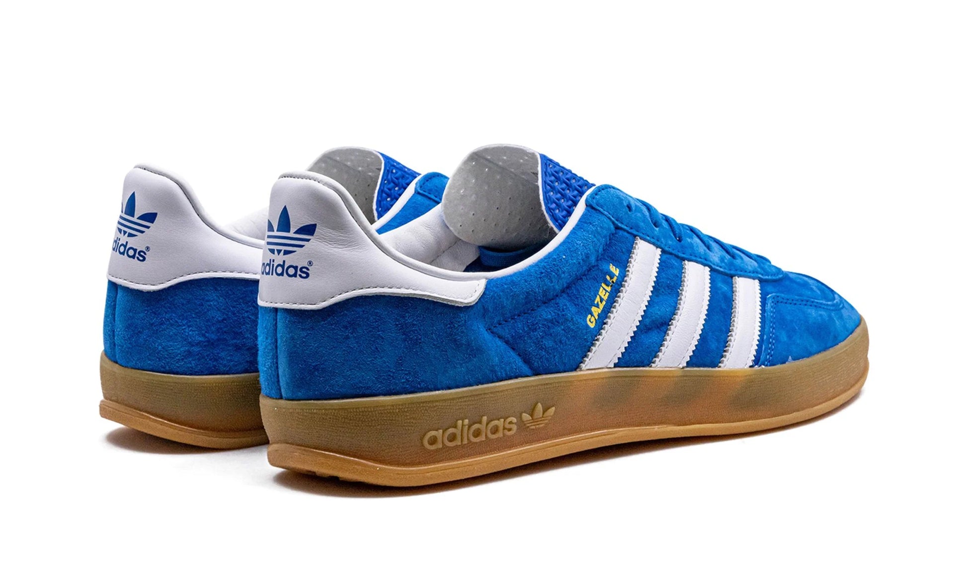 Parte de trás das sapatilhas Adidas Gazelle Indoor Blue Bird